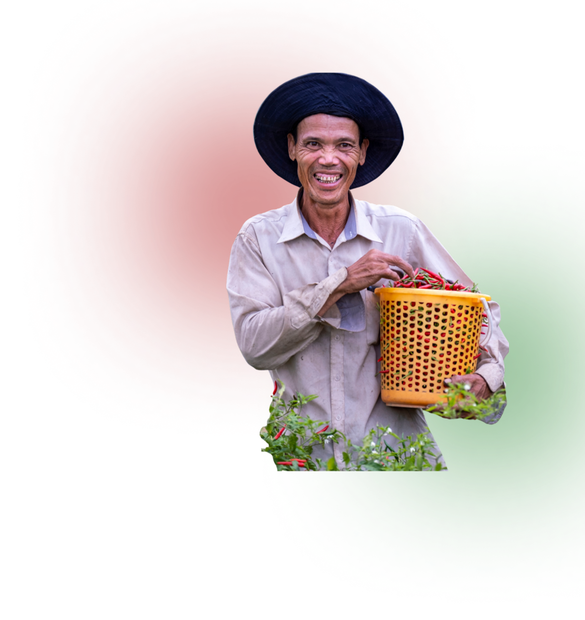 Petani dengan teknologi IoT